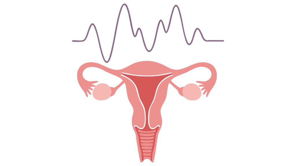 Estrogen fluctuations affecting mood during perimenopause
