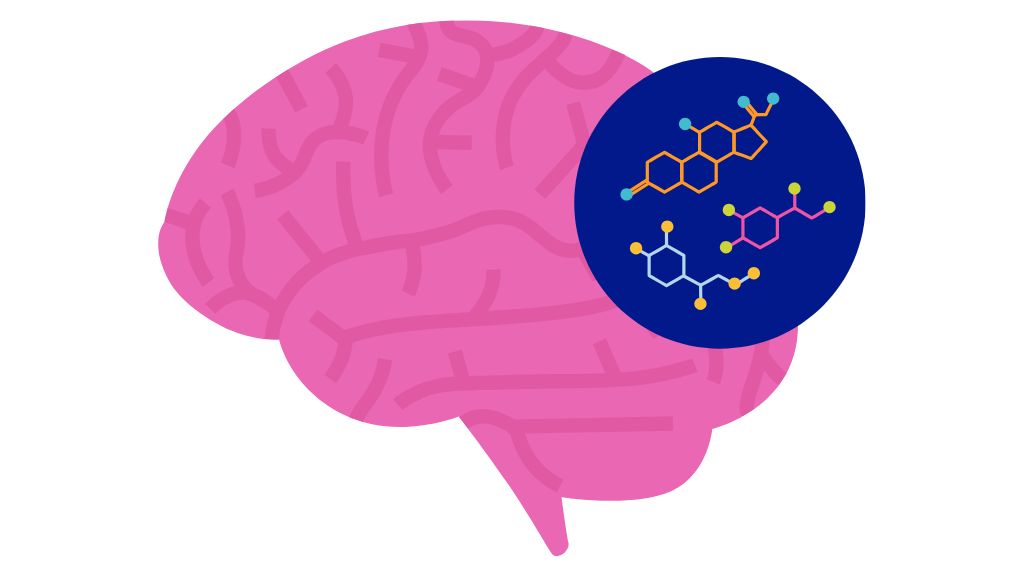 Hormones influencing anxiety and brain chemistry in women